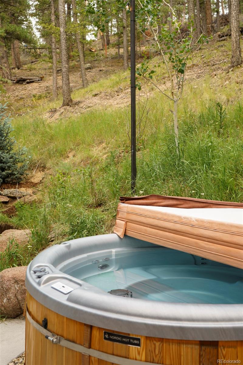 MLS Image #33 for 30166  glen eyrie ,evergreen, Colorado