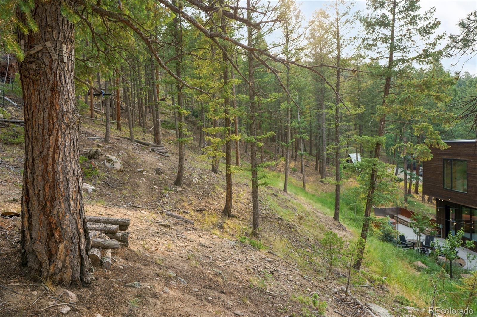 MLS Image #34 for 30166  glen eyrie ,evergreen, Colorado