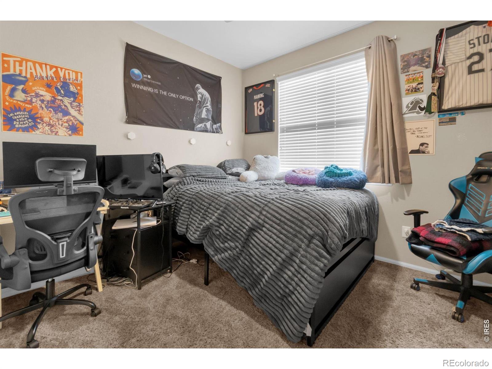 MLS Image #11 for 3214  lump gulch way,frederick, Colorado