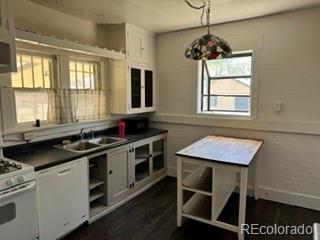 MLS Image #8 for 5115  milwaukee street,denver, Colorado