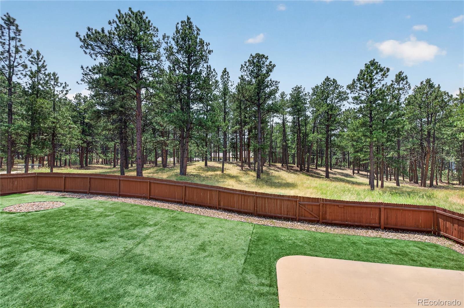 MLS Image #36 for 155  pontiac loop,monument, Colorado