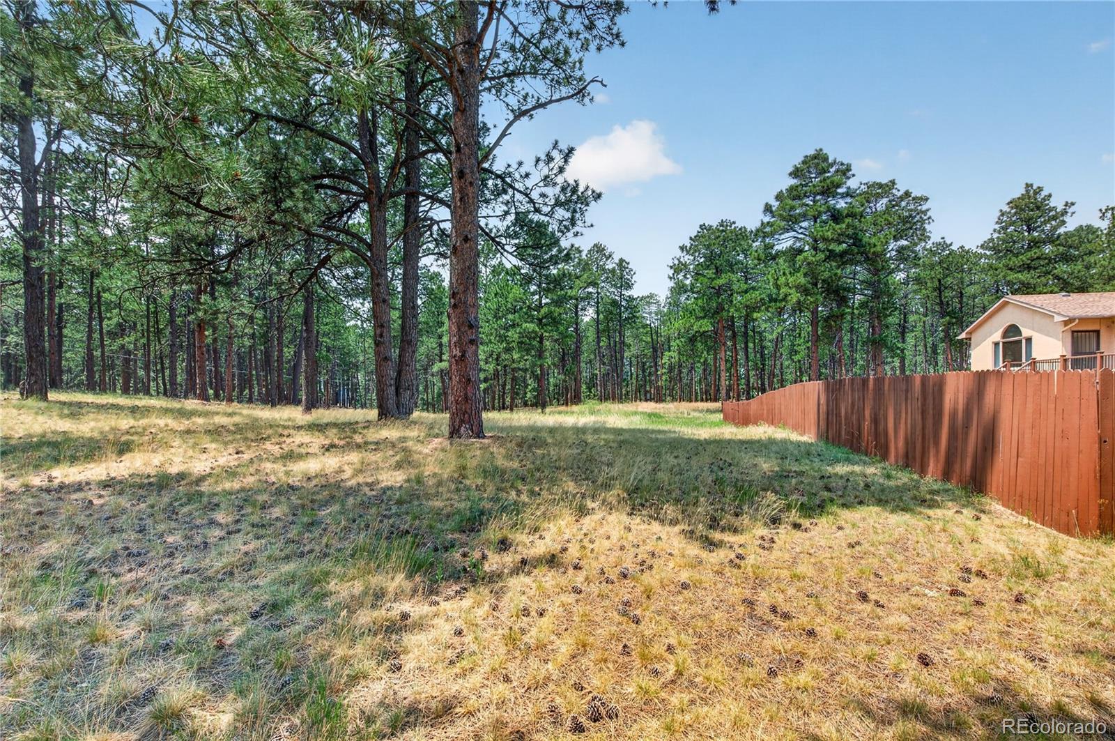 MLS Image #43 for 155  pontiac loop,monument, Colorado
