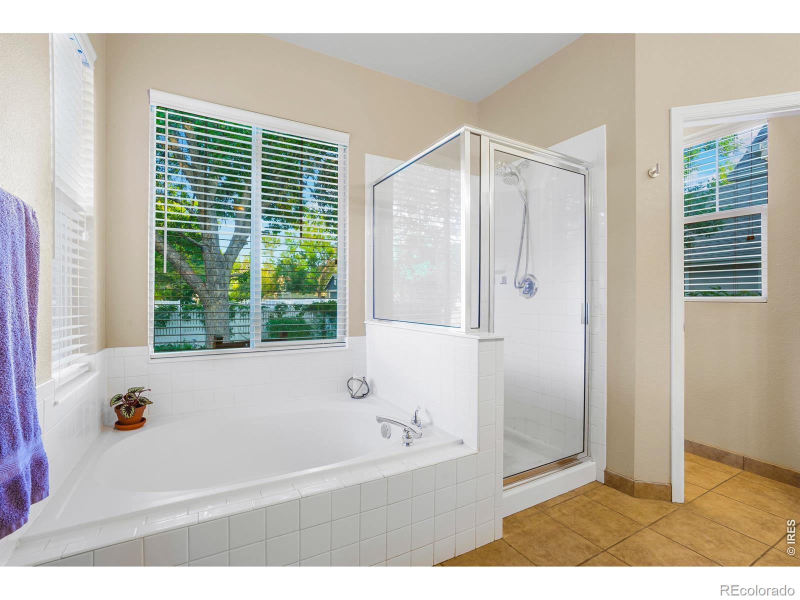 MLS Image #14 for 4625  portofino drive,longmont, Colorado