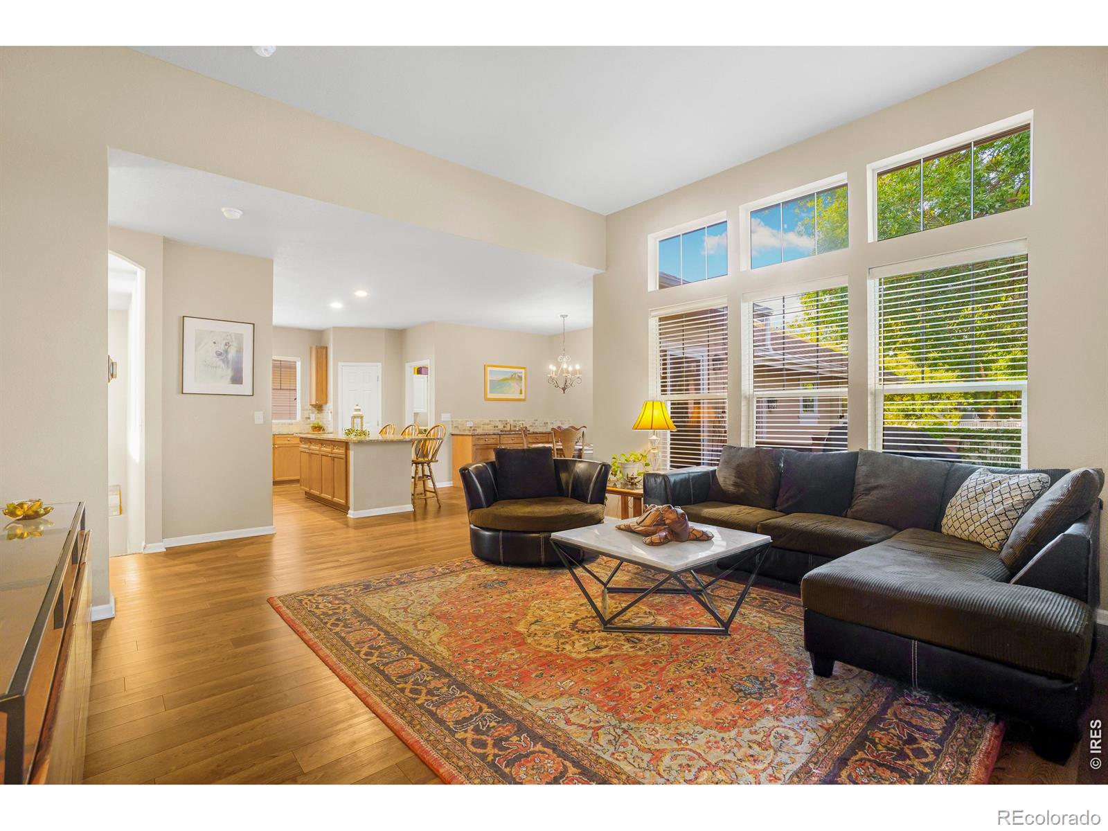 MLS Image #7 for 4625  portofino drive,longmont, Colorado