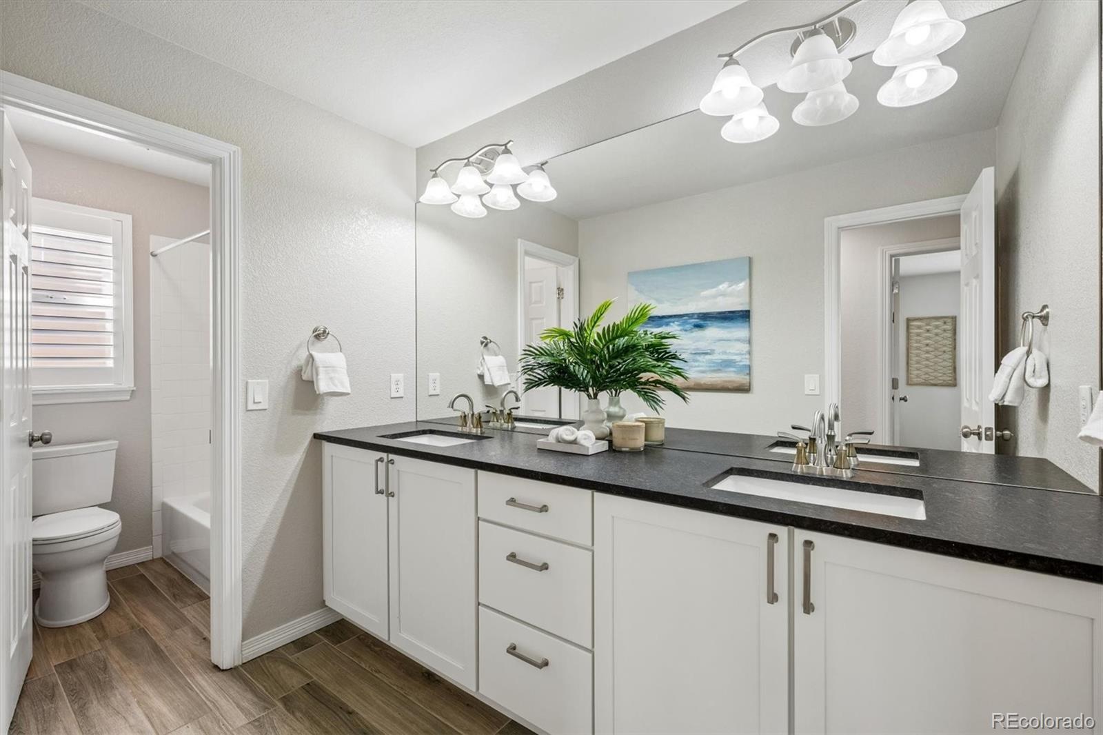 MLS Image #32 for 9973  candlewood lane,highlands ranch, Colorado