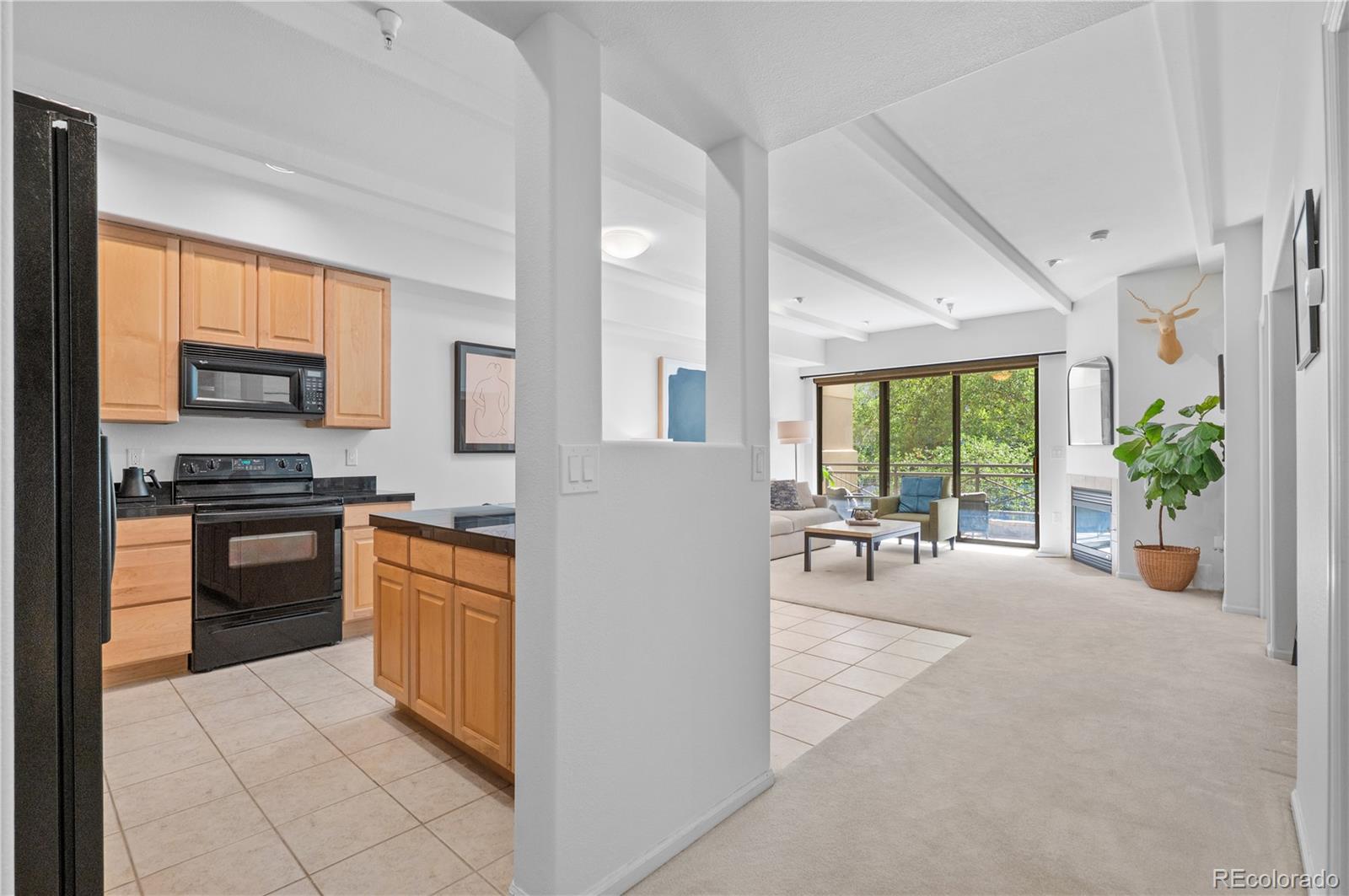 MLS Image #8 for 180  cook street 203,denver, Colorado