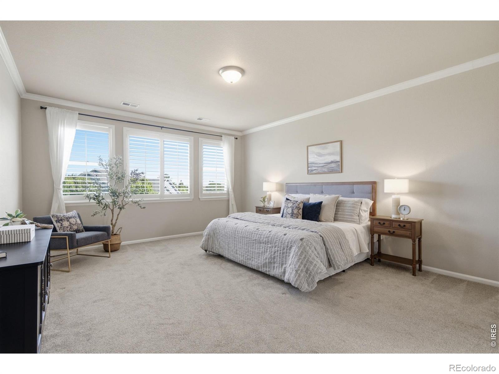 MLS Image #16 for 5504  sugar loaf court,timnath, Colorado