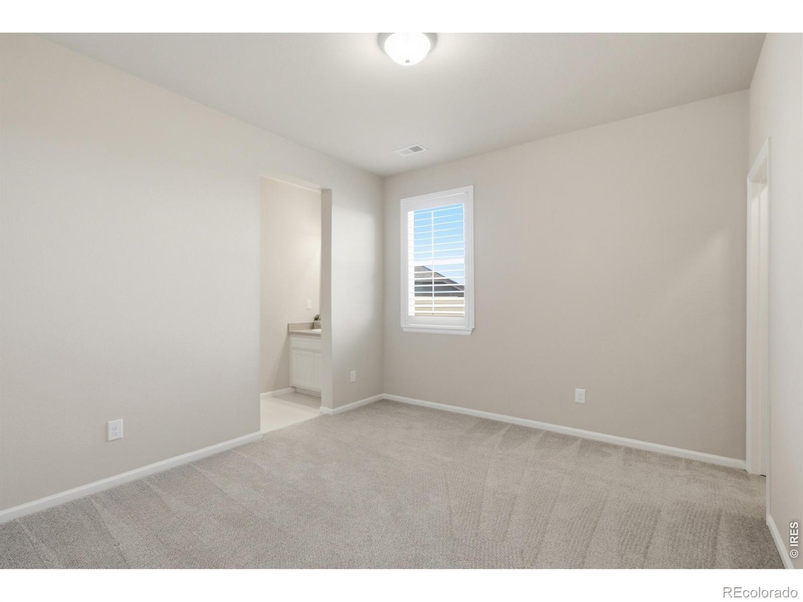 MLS Image #21 for 5504  sugar loaf court,timnath, Colorado