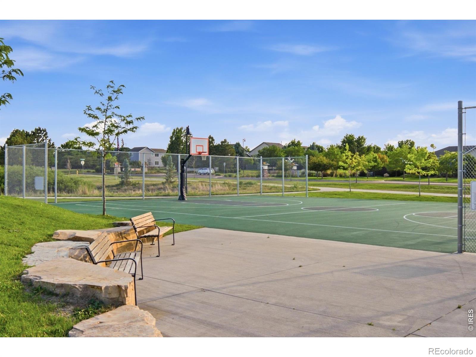 MLS Image #48 for 5504  sugar loaf court,timnath, Colorado