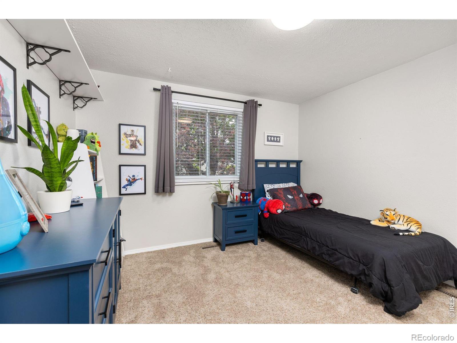 MLS Image #21 for 701  drift place,longmont, Colorado