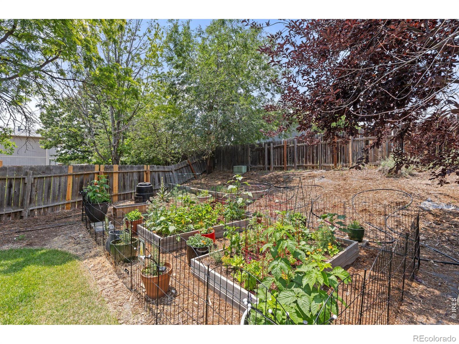 MLS Image #32 for 701  drift place,longmont, Colorado