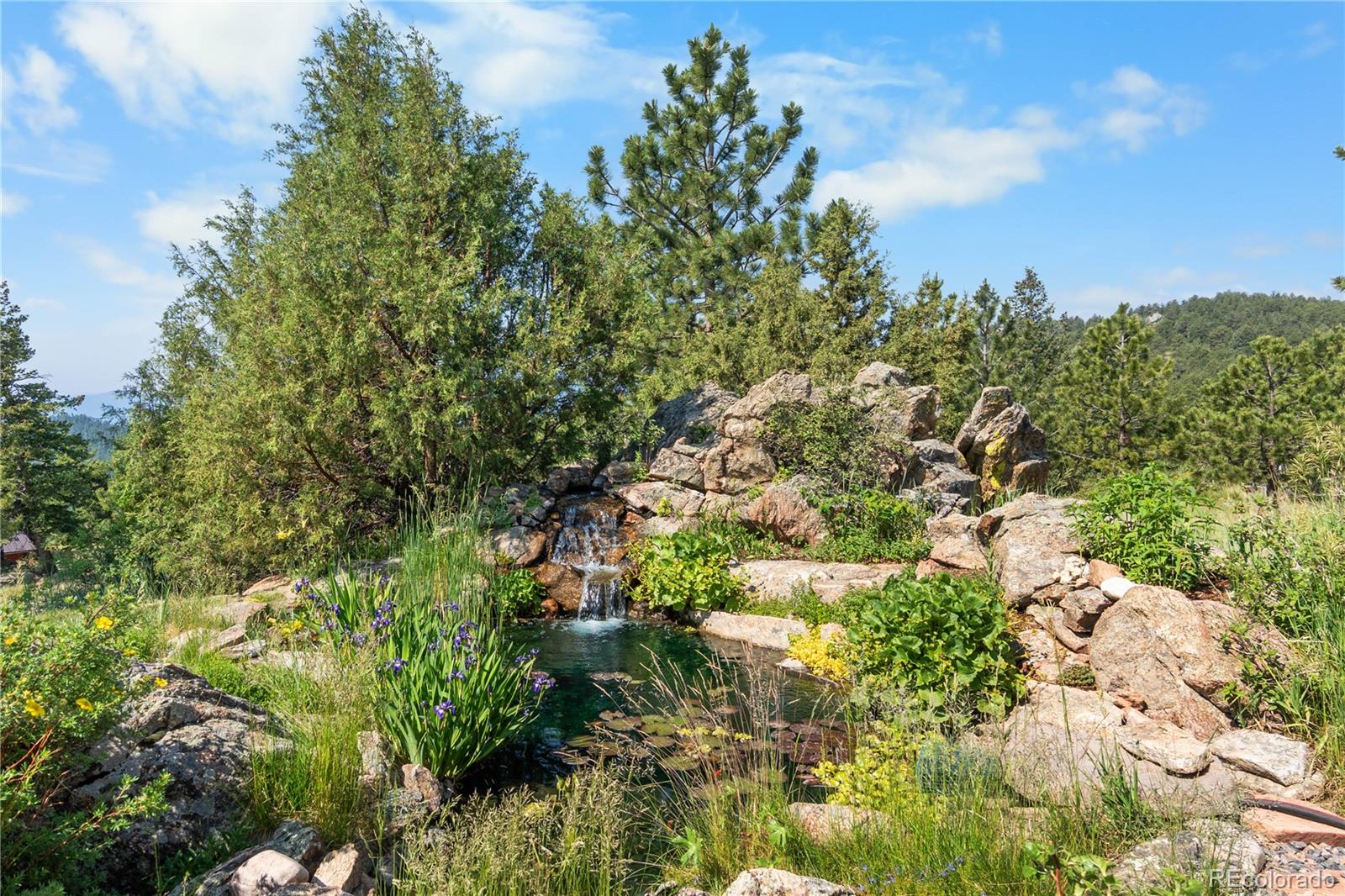 MLS Image #41 for 3935  douglas mountain drive,golden, Colorado