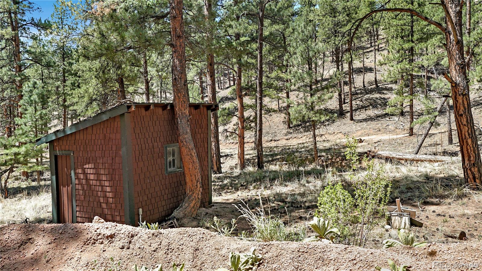 MLS Image #10 for 25776  county road 126 ,sedalia, Colorado