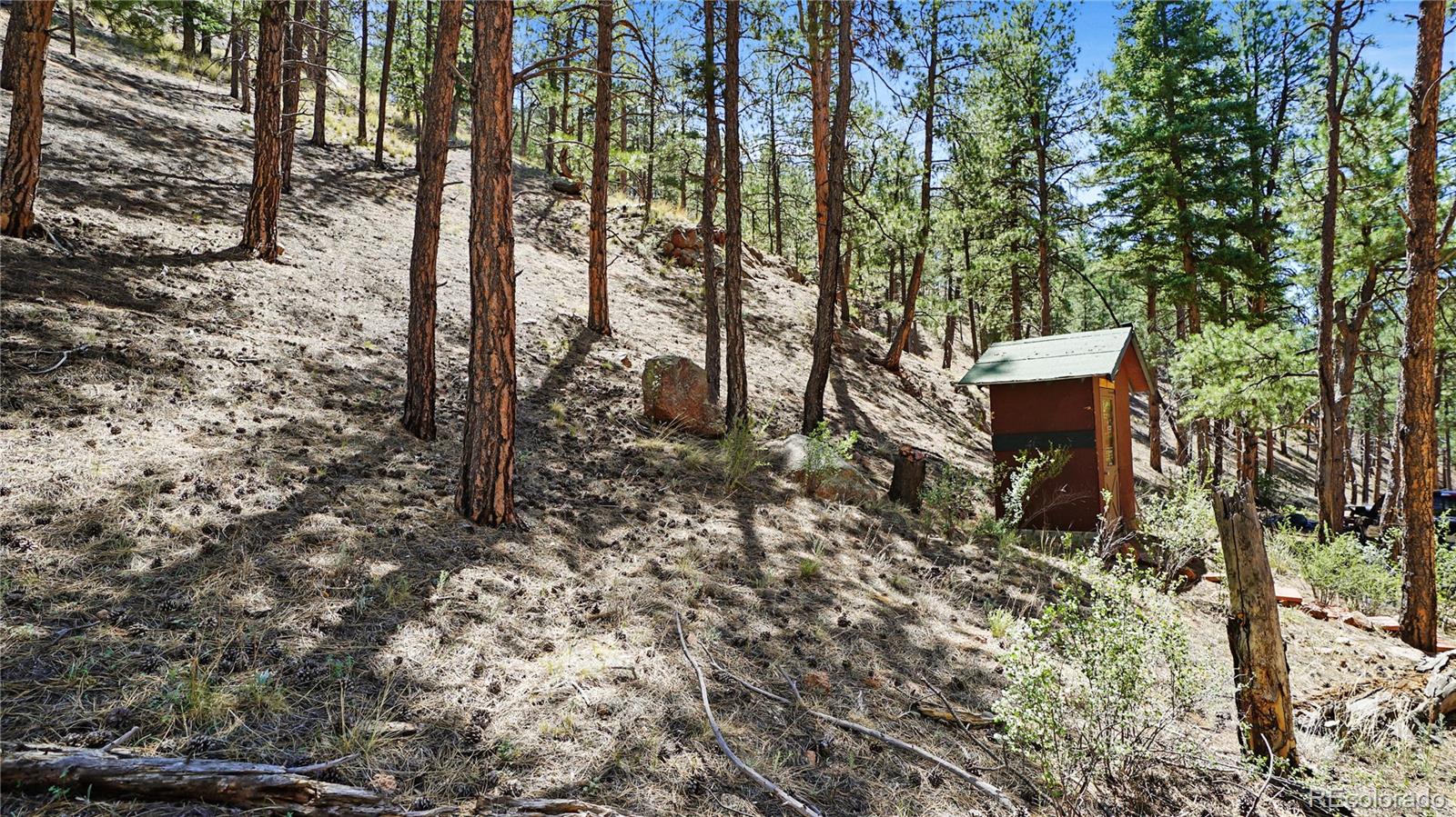 MLS Image #11 for 25776  county road 126 ,sedalia, Colorado
