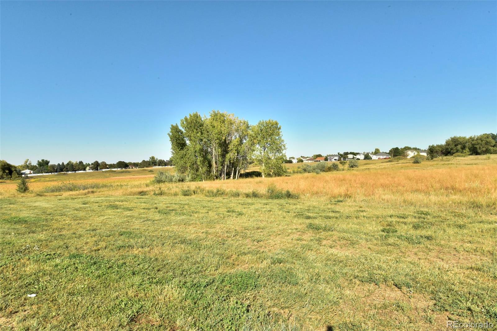 MLS Image #14 for 1971 w 101st court,thornton, Colorado