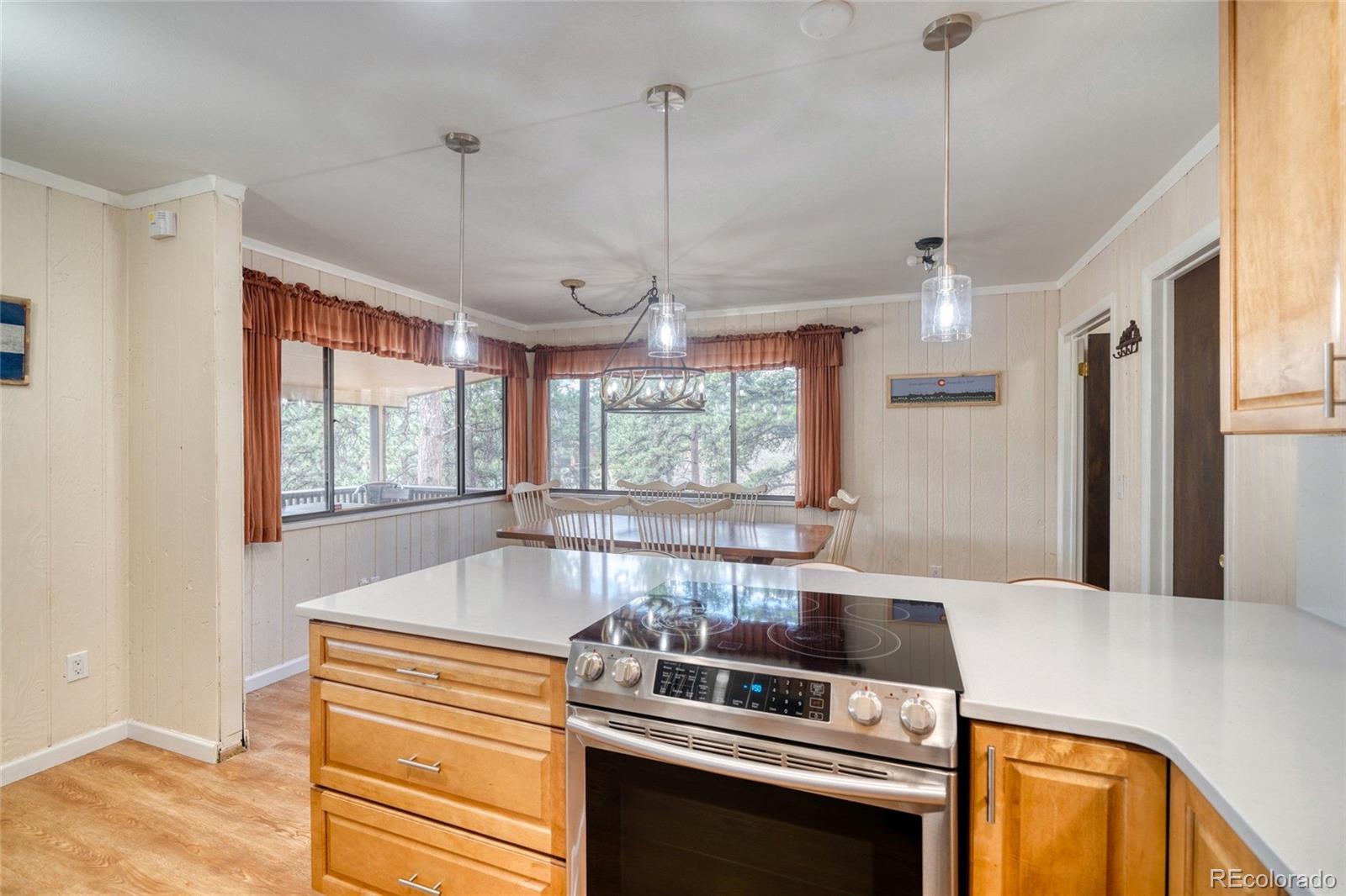 MLS Image #21 for 435  phyllis drive,florissant, Colorado