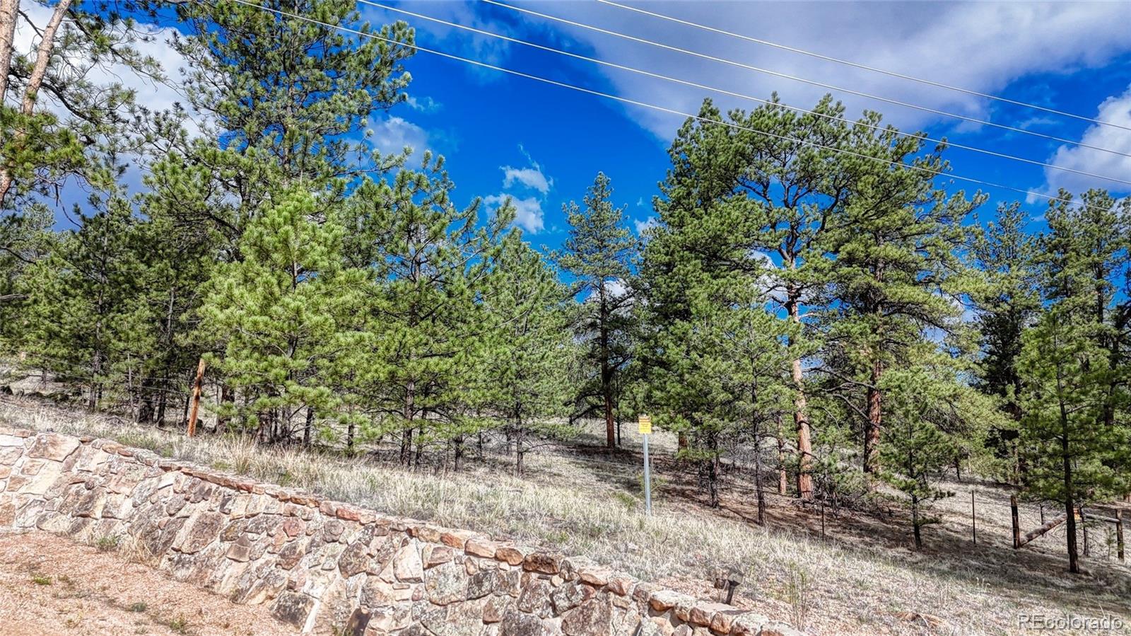 MLS Image #33 for 435  phyllis drive,florissant, Colorado