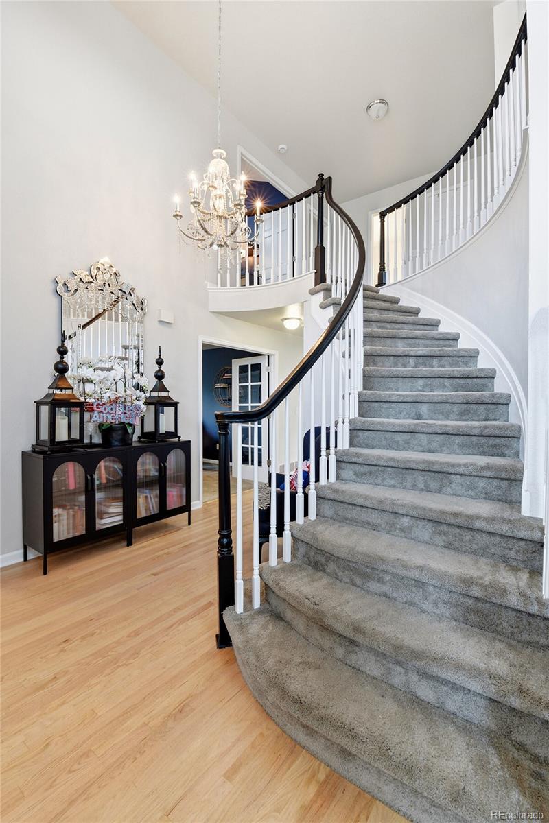 MLS Image #2 for 3004  ravenhill circle,littleton, Colorado
