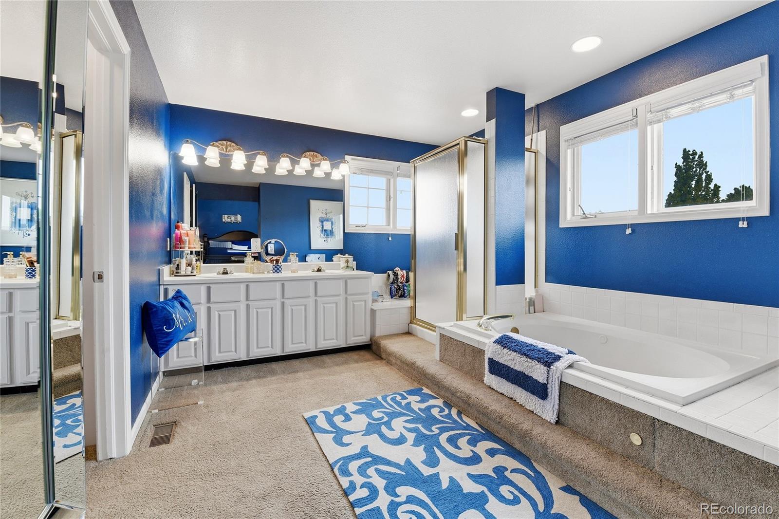 MLS Image #22 for 3004  ravenhill circle,littleton, Colorado