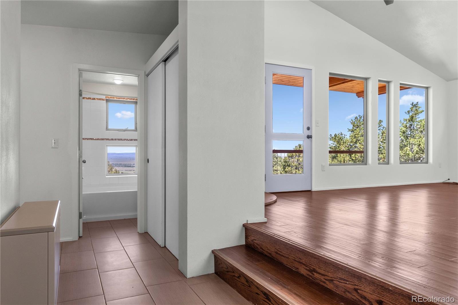 MLS Image #10 for 4375 e twinview overlook,crestone, Colorado