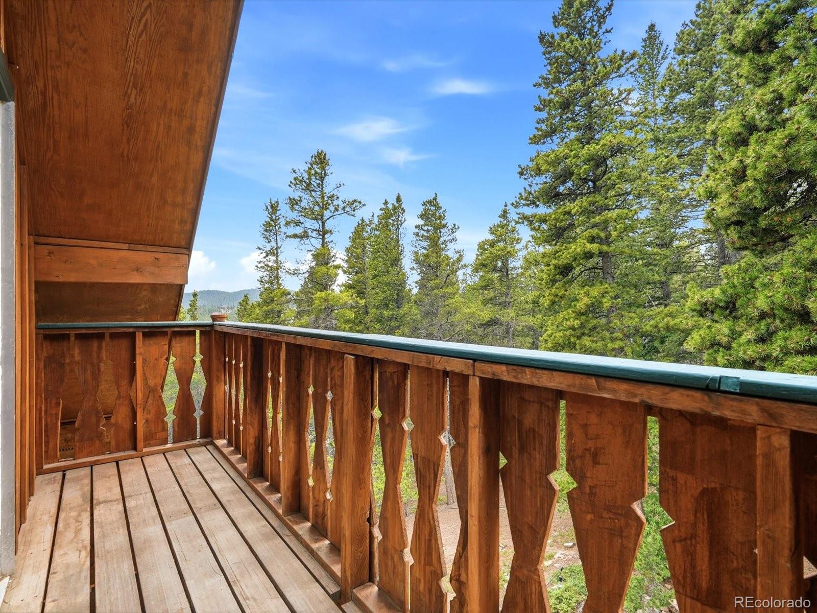 MLS Image #15 for 286  texas drive,idaho springs, Colorado