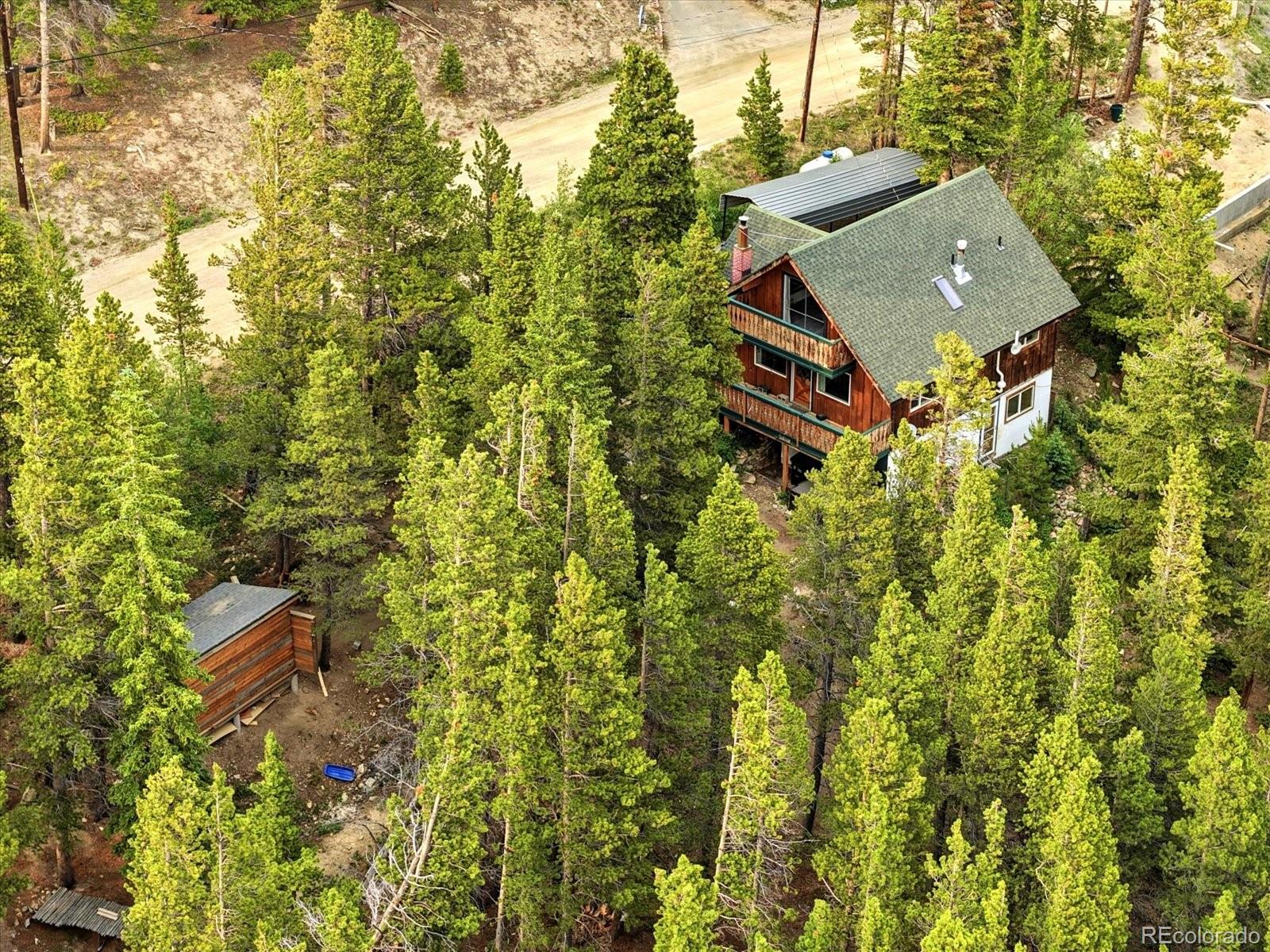 MLS Image #29 for 286  texas drive,idaho springs, Colorado