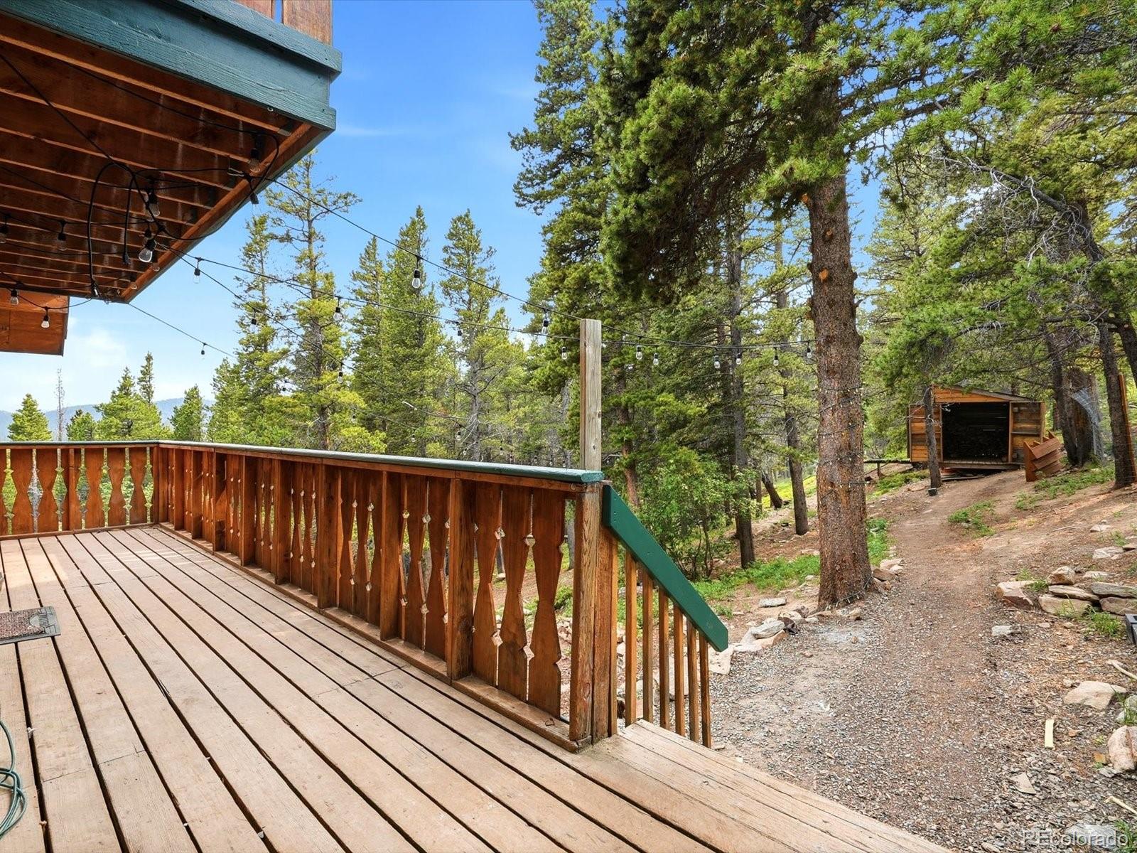 MLS Image #3 for 286  texas drive,idaho springs, Colorado