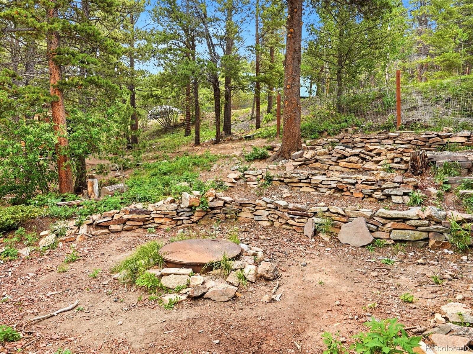 MLS Image #4 for 286  texas drive,idaho springs, Colorado