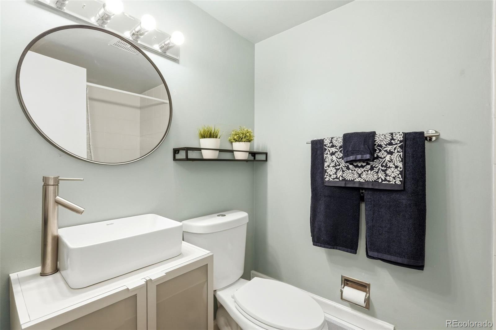 MLS Image #10 for 1265  elizabeth street,denver, Colorado