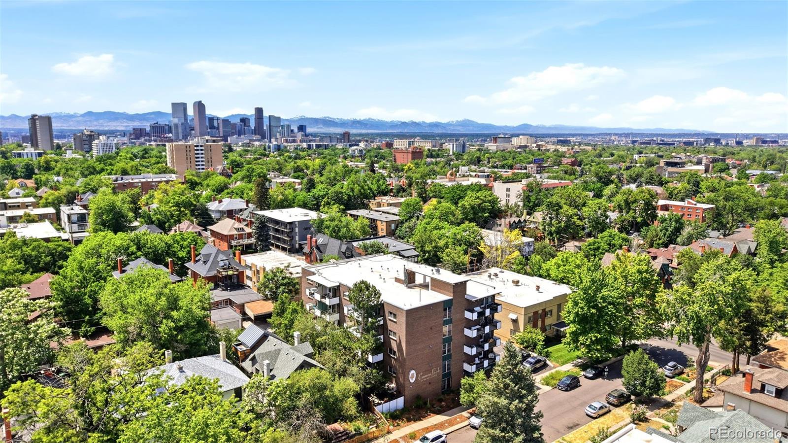 MLS Image #27 for 1265  elizabeth street,denver, Colorado