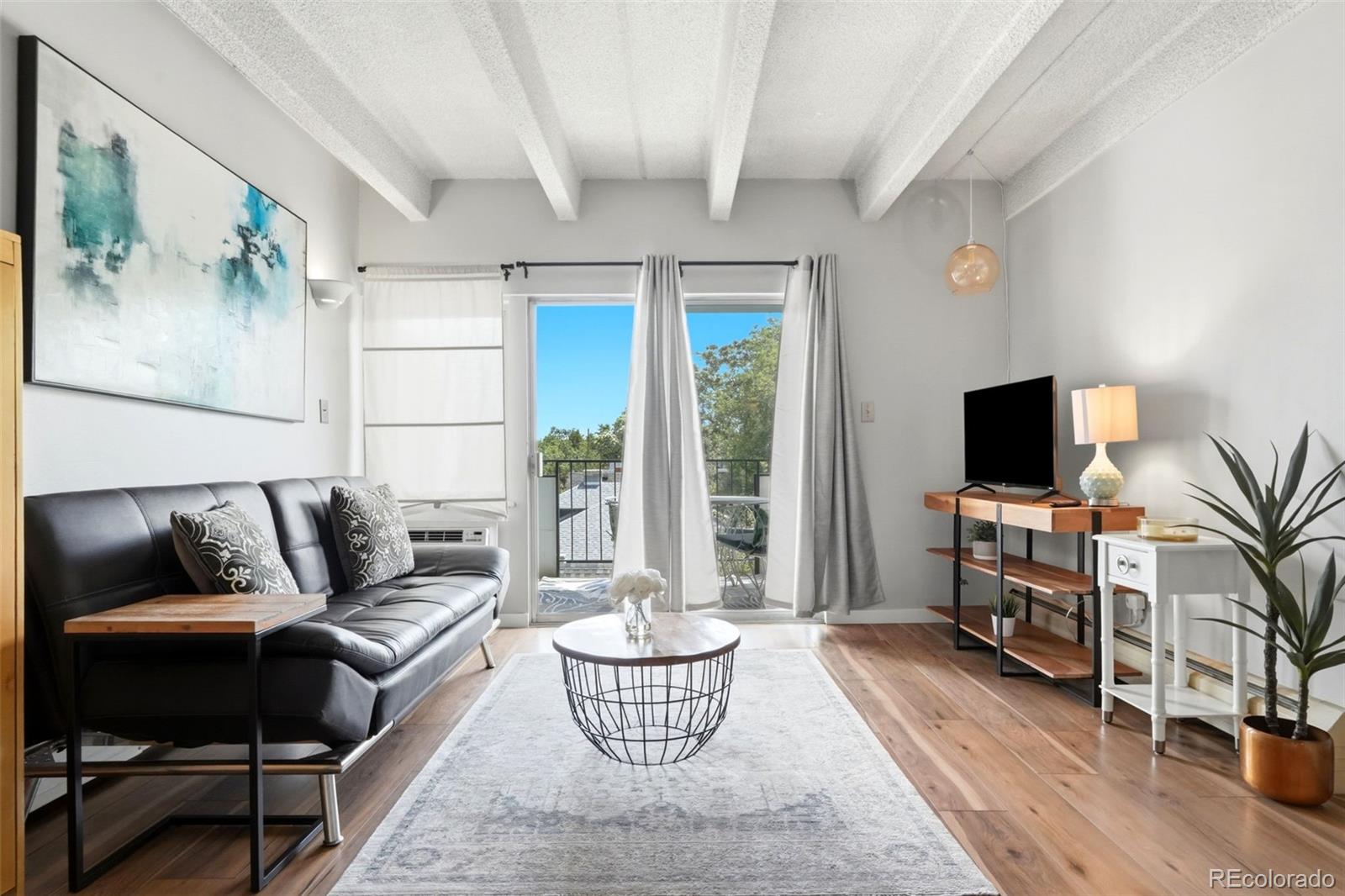 MLS Image #3 for 1265  elizabeth street,denver, Colorado