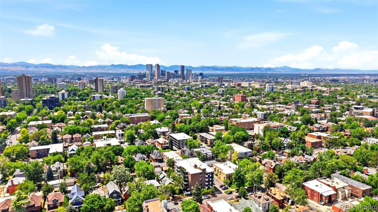 MLS Image #31 for 1265  elizabeth street,denver, Colorado