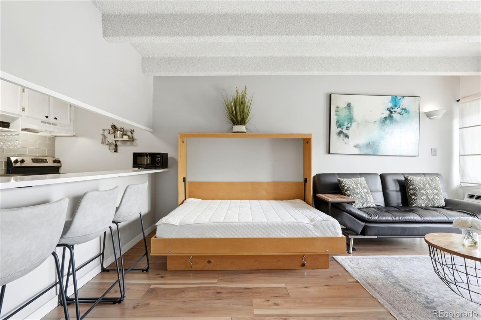 MLS Image #5 for 1265  elizabeth street,denver, Colorado