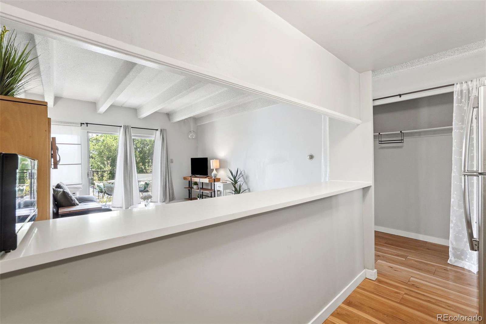 MLS Image #9 for 1265  elizabeth street,denver, Colorado