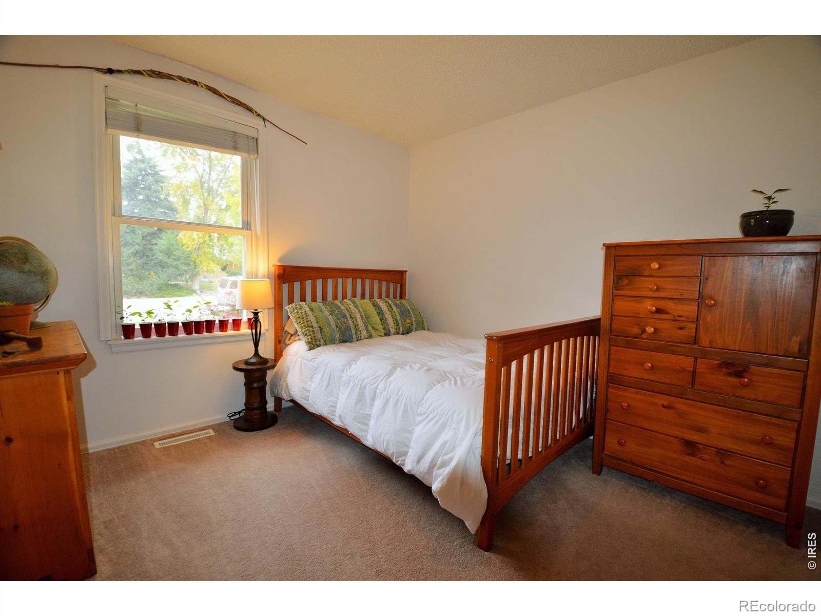 MLS Image #6 for 3814  columbia drive,longmont, Colorado