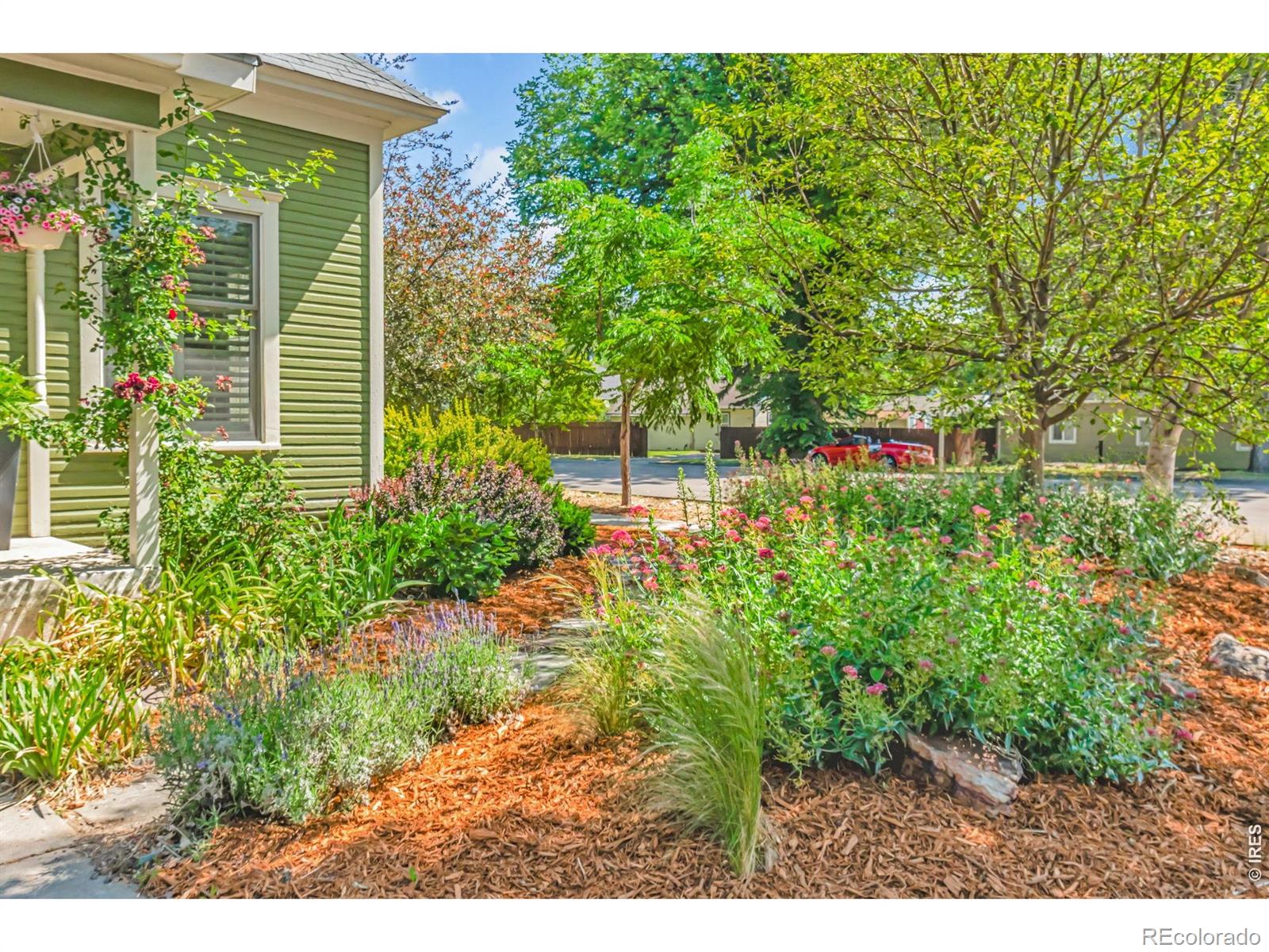 MLS Image #2 for 600 w magnolia street,fort collins, Colorado