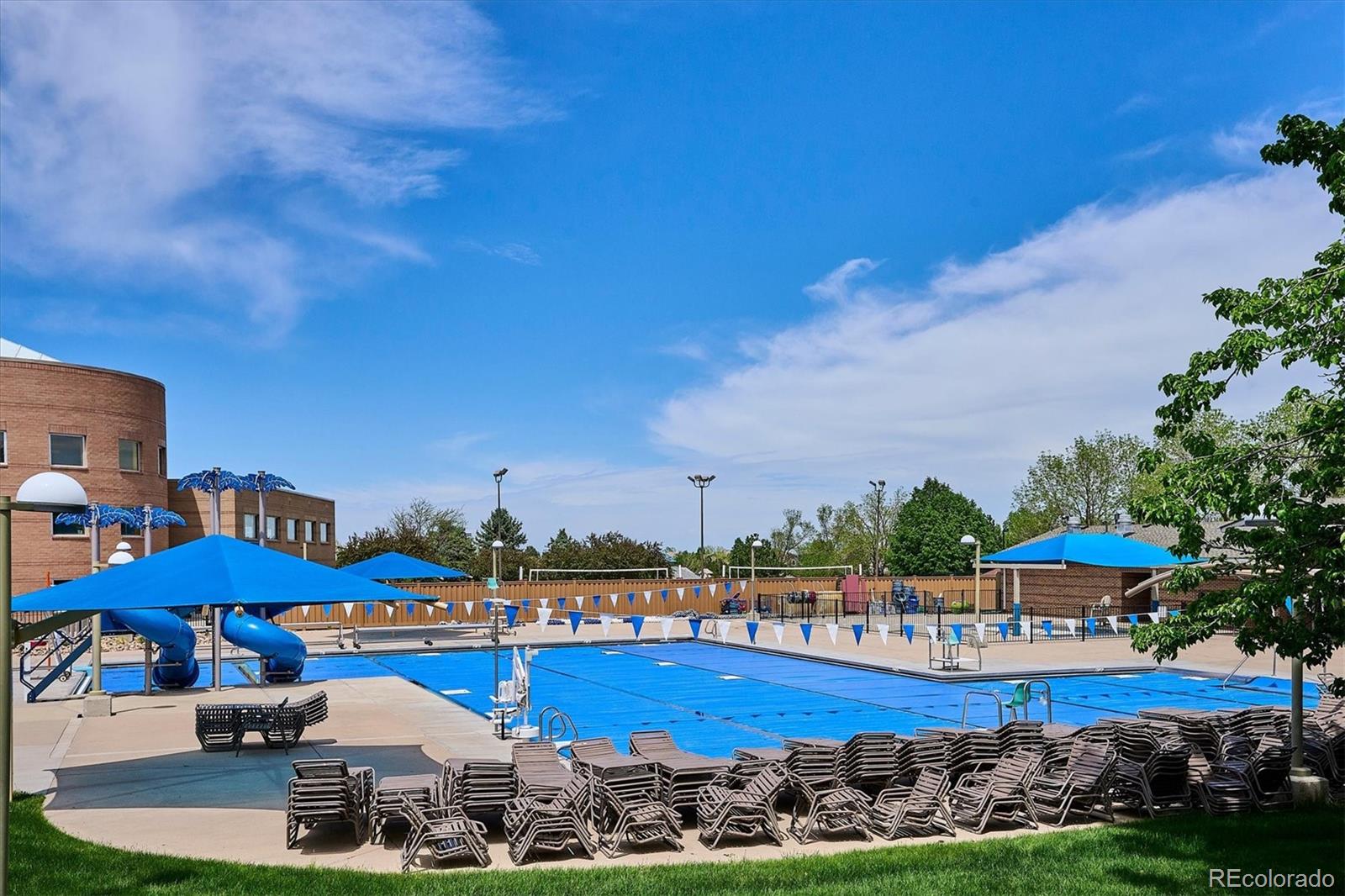 MLS Image #36 for 3372  cranston circle,highlands ranch, Colorado