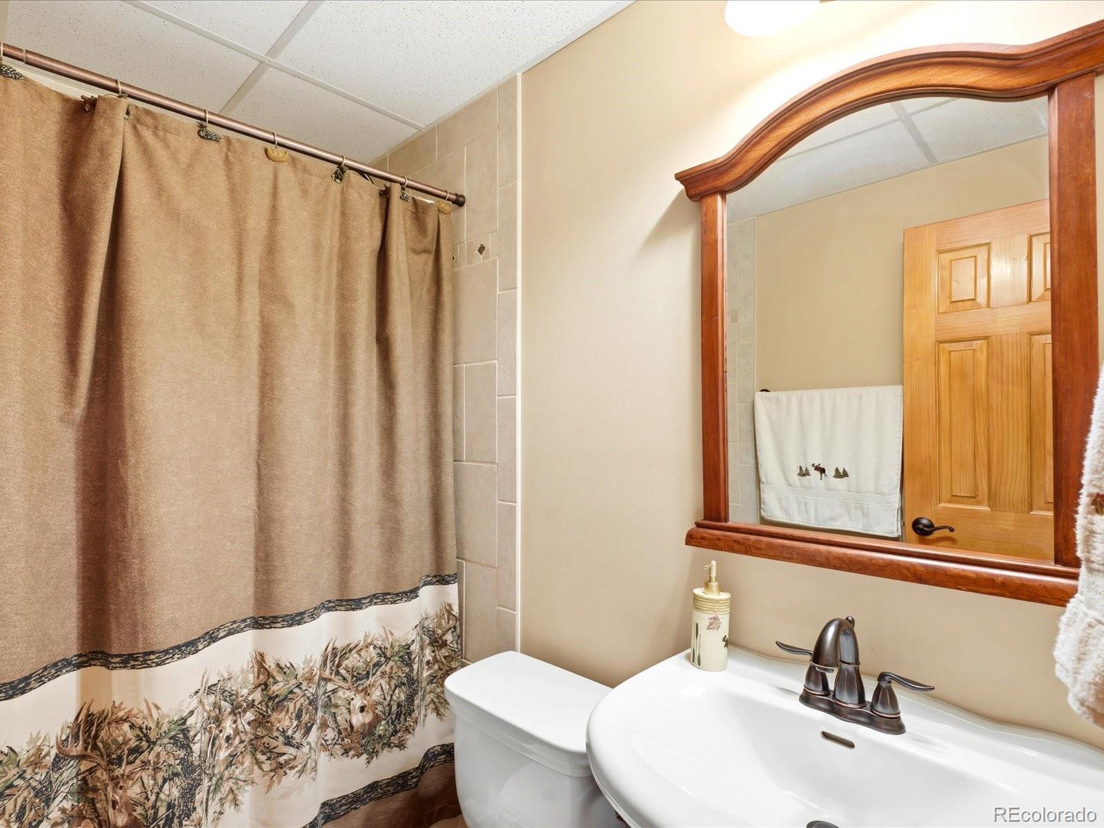 MLS Image #23 for 11743  braun way,conifer, Colorado