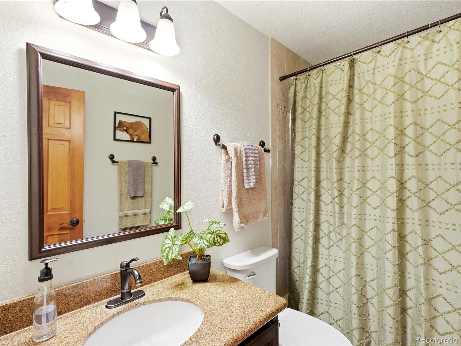 MLS Image #24 for 11743  braun way,conifer, Colorado