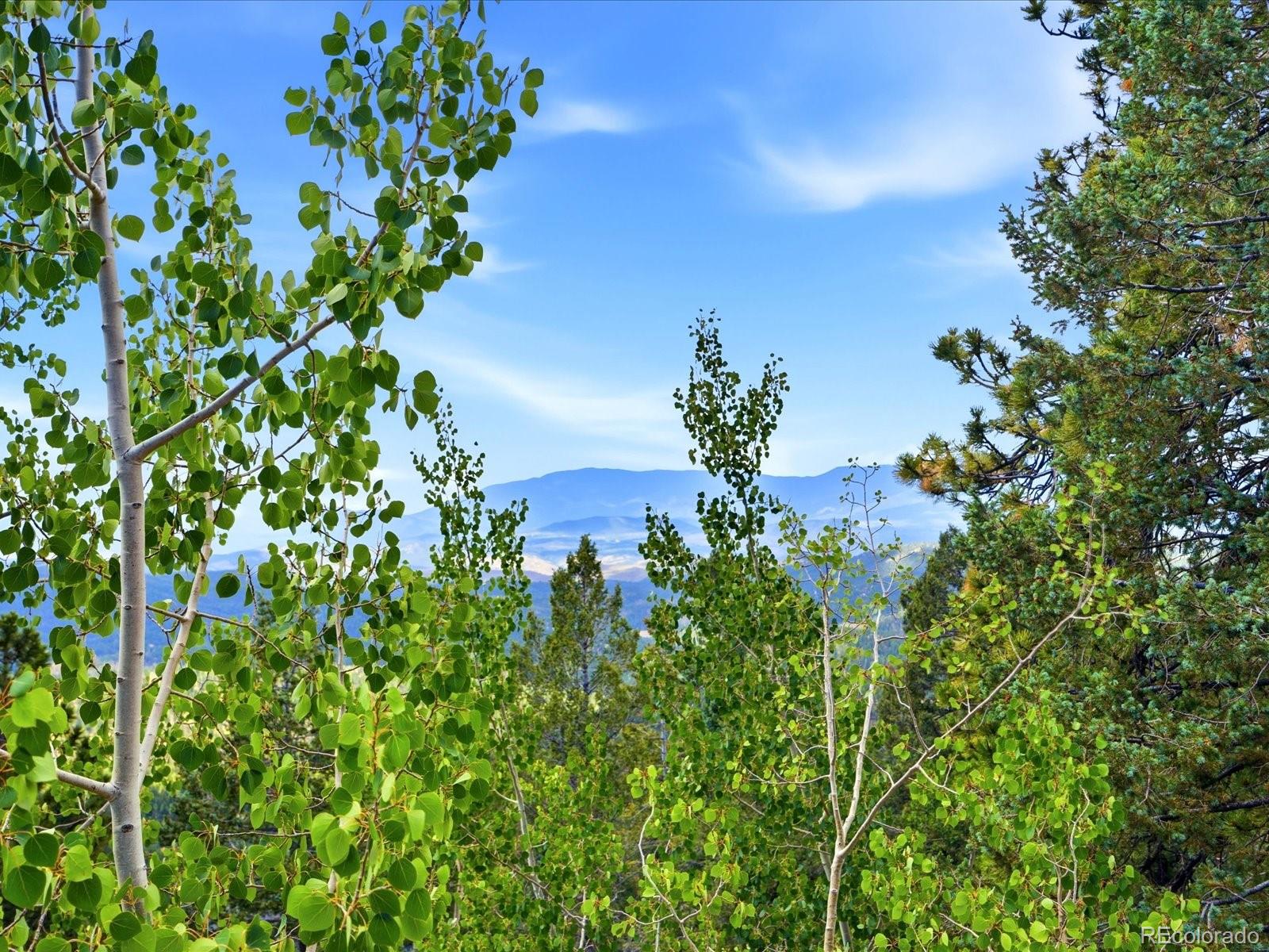 MLS Image #33 for 11743  braun way,conifer, Colorado