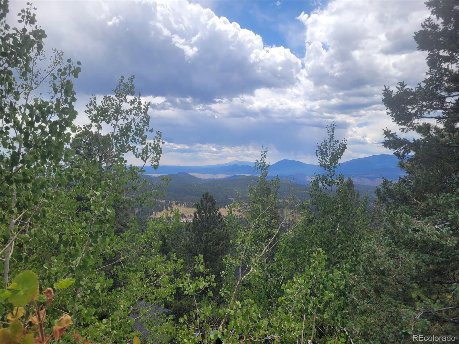 MLS Image #4 for 11743  braun way,conifer, Colorado