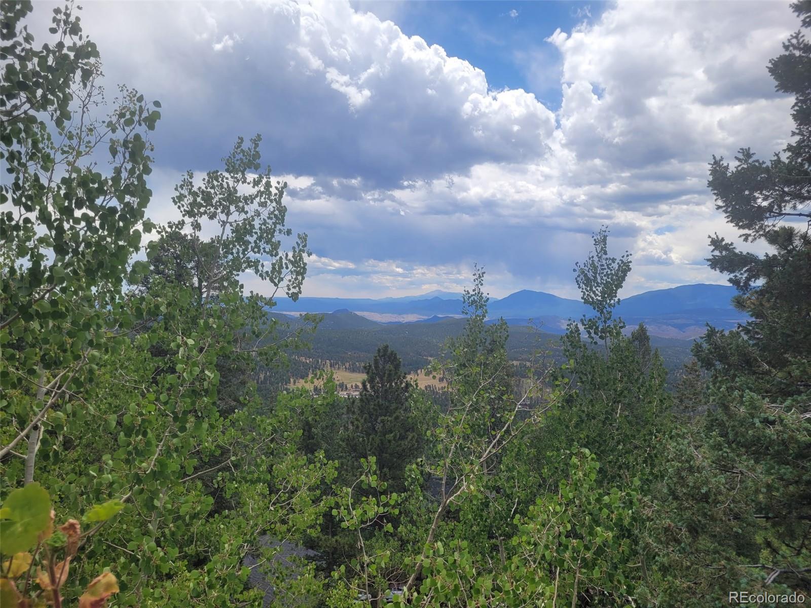 MLS Image #41 for 11743  braun way,conifer, Colorado