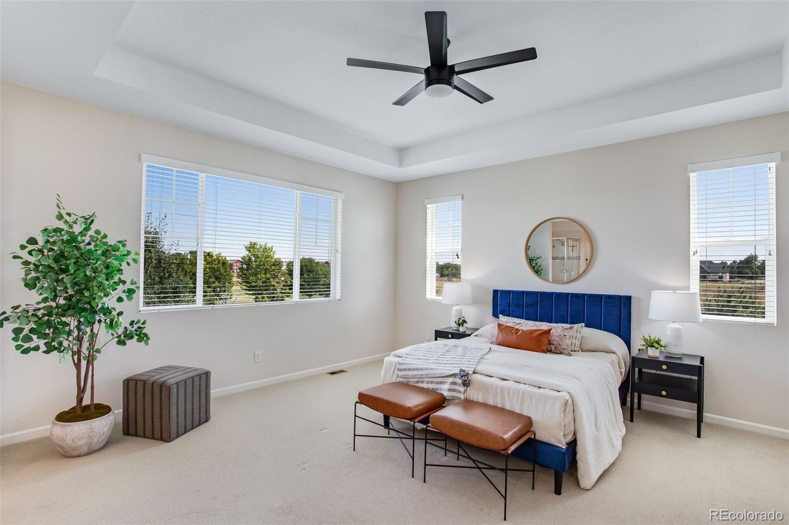 MLS Image #28 for 8876  blackwood drive,windsor, Colorado