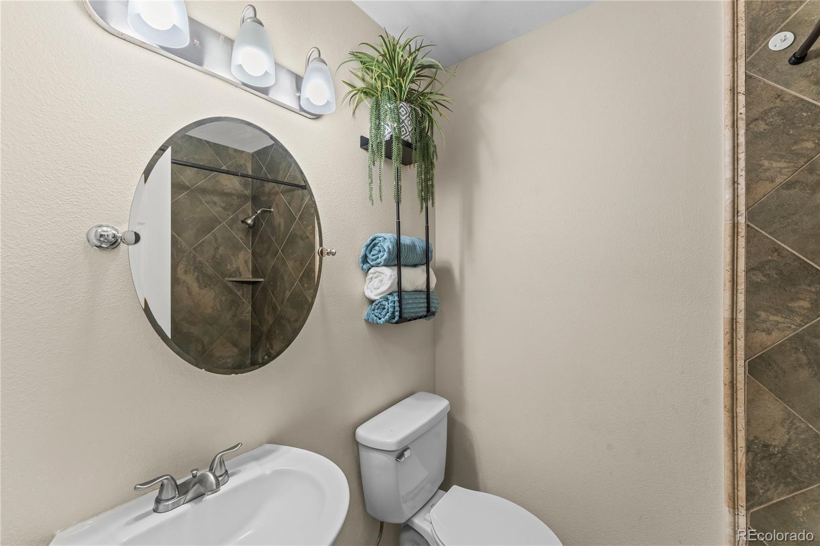 MLS Image #14 for 5397  saddle horn avenue,colorado springs, Colorado
