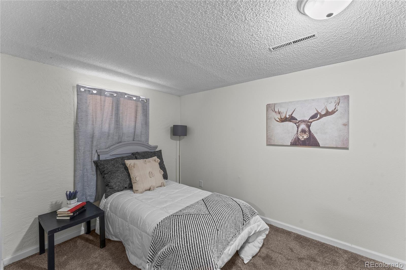 MLS Image #20 for 5397  saddle horn avenue,colorado springs, Colorado