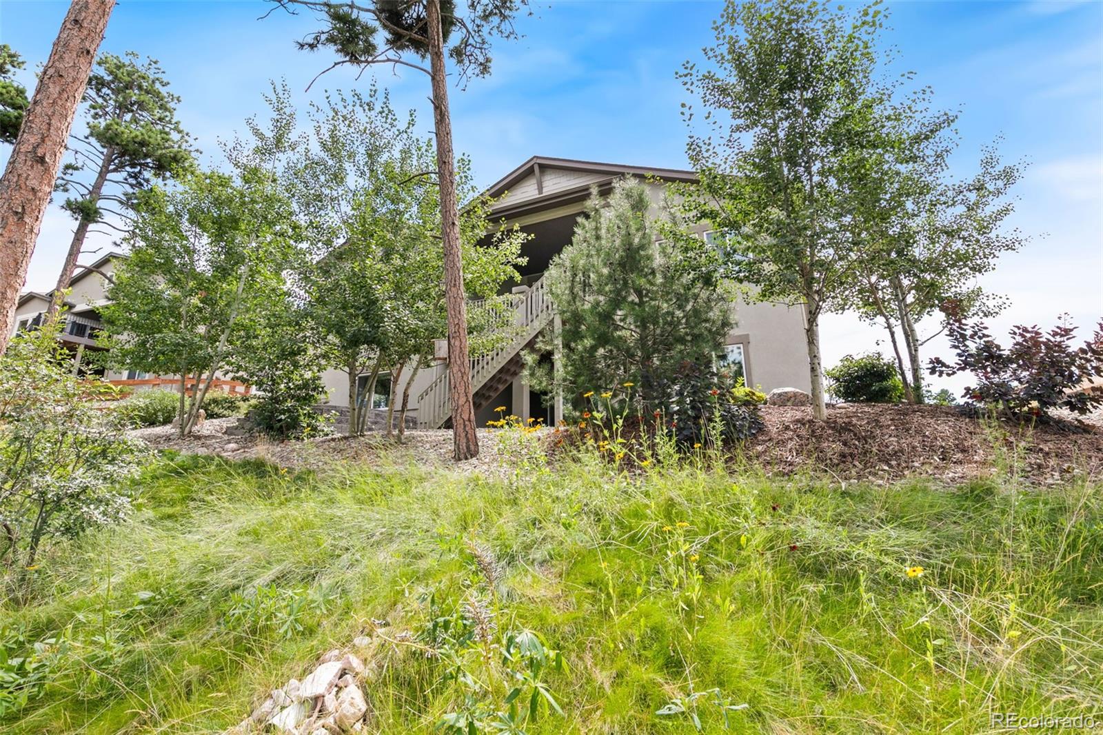 MLS Image #45 for 968  tree bark terrace,colorado springs, Colorado