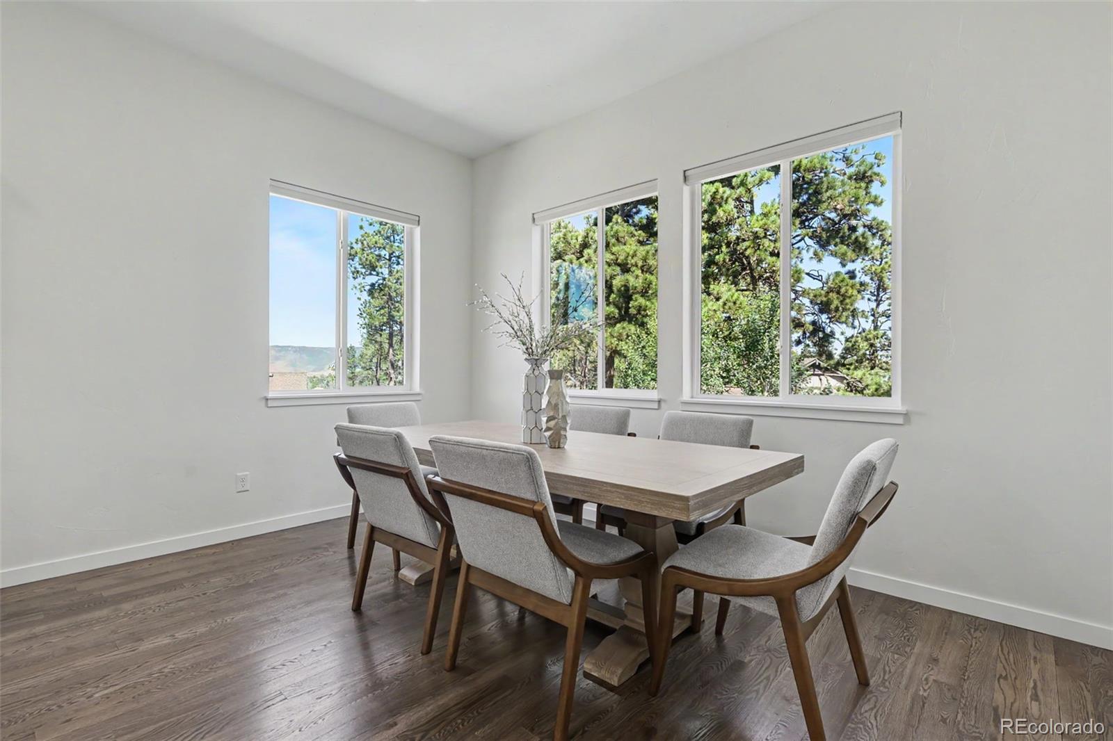 MLS Image #5 for 968  tree bark terrace,colorado springs, Colorado