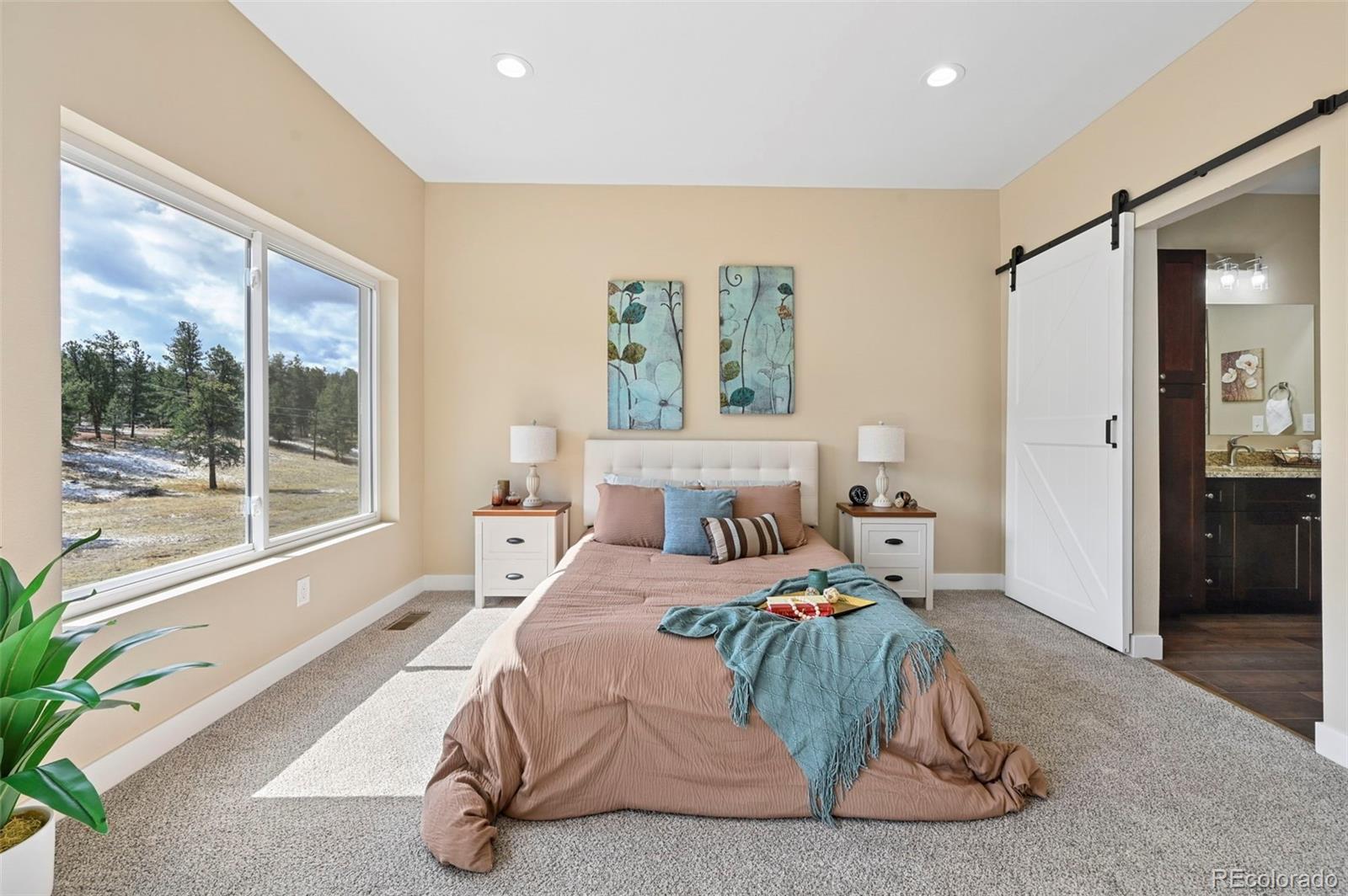MLS Image #13 for 108  high pasture road,florissant, Colorado