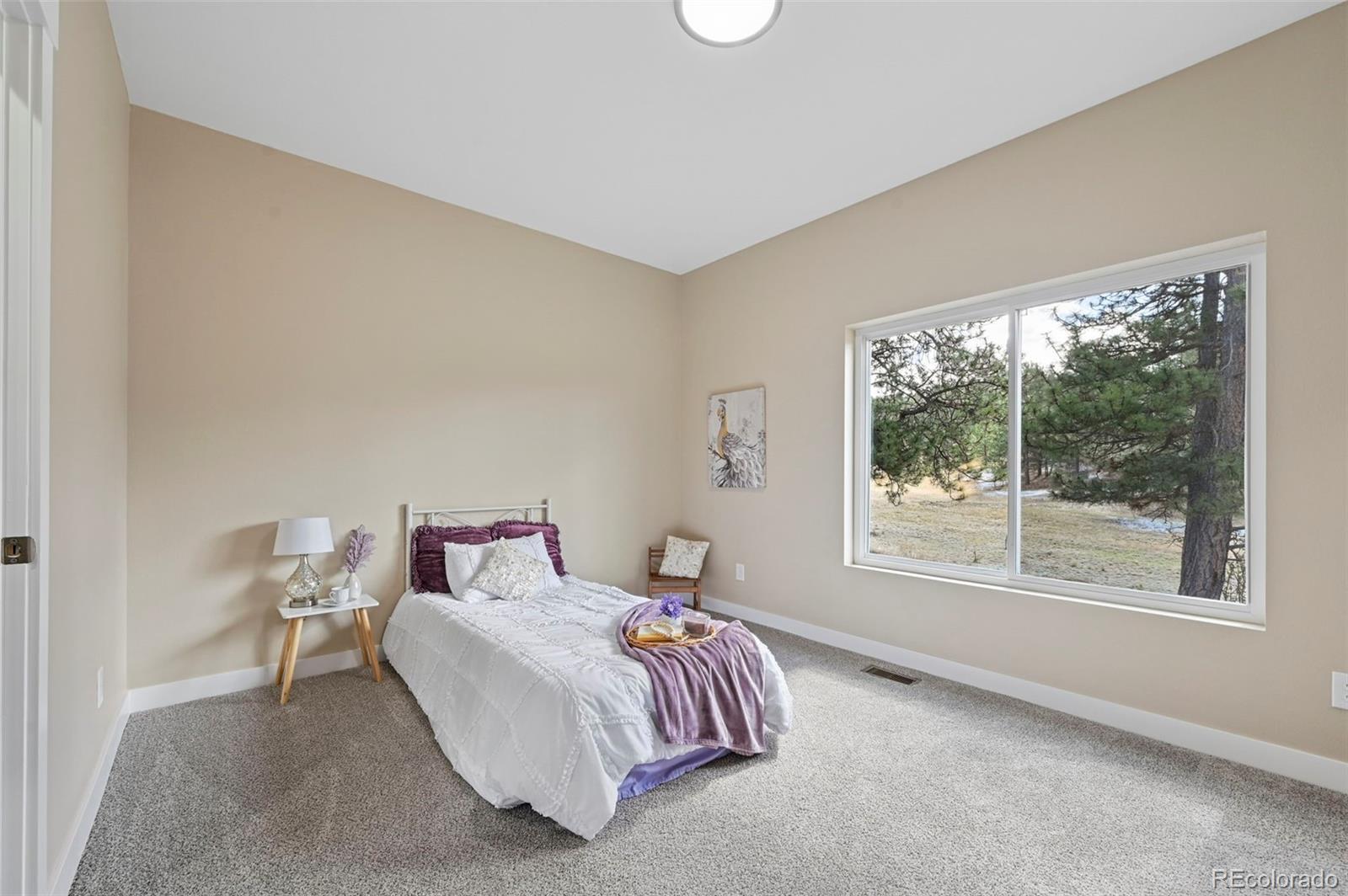 MLS Image #21 for 108  high pasture road,florissant, Colorado