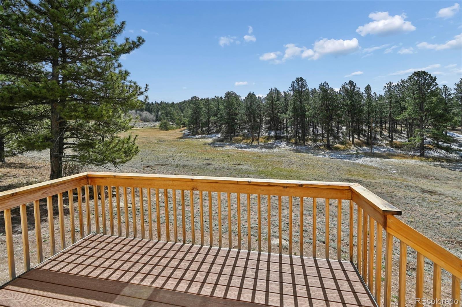 MLS Image #28 for 108  high pasture road,florissant, Colorado